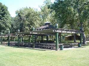 Redbud Picnic area in Discovery Park