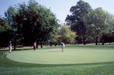 A golfer putts on a green surrounded by other golfers, tall trees, and a blue flag in a golf course setting.