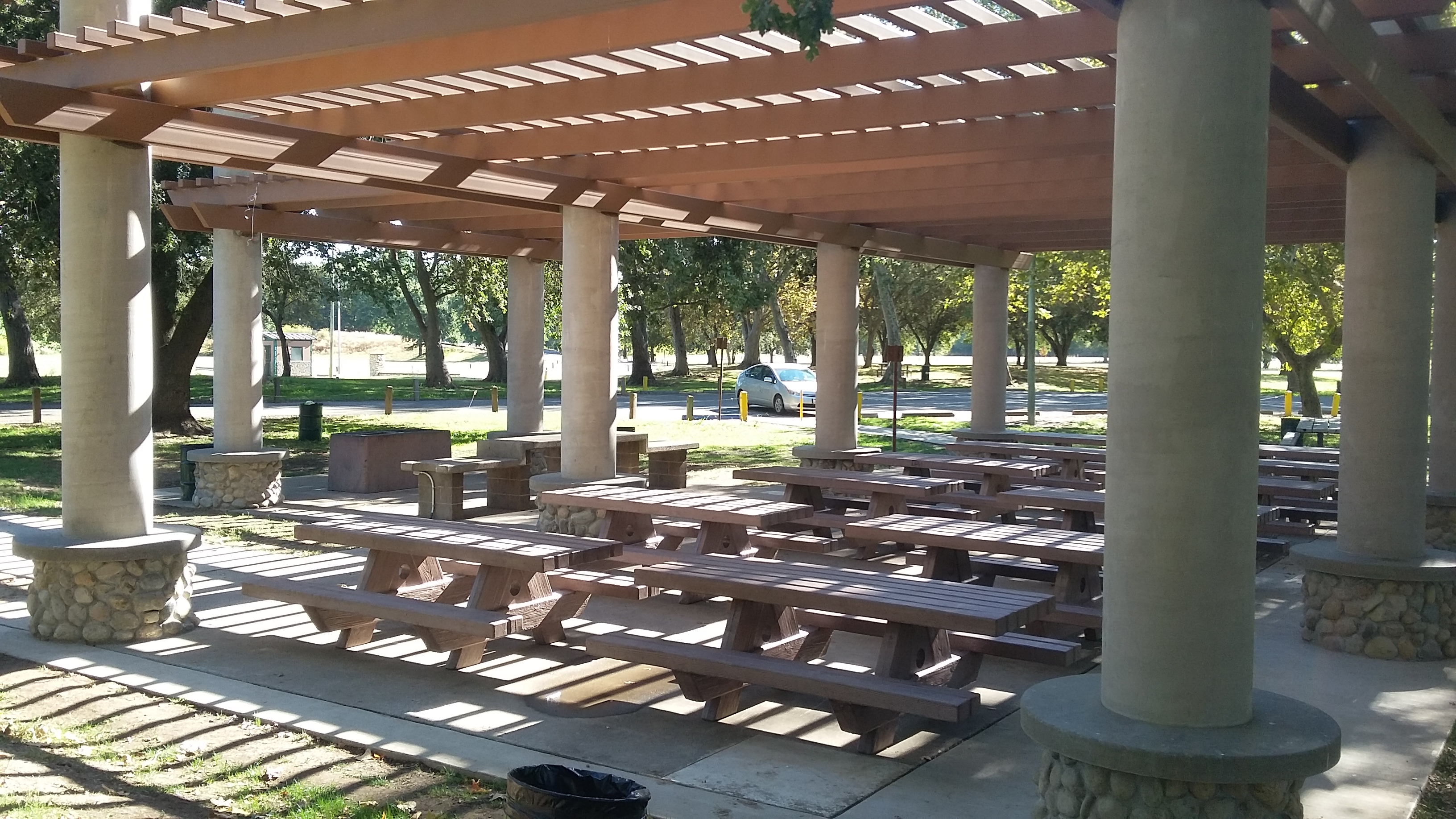 Oak Picnic area in Discovery Park
