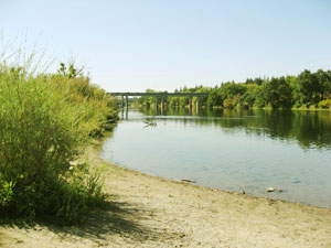 A wide river flowing under a long, concrete bridge, with sandy banks in the foreground and green trees lining the water's edge under a clear, blue sky.