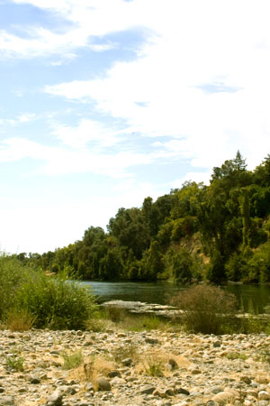 Scenic view of a river flowing through a lush green, tree-covered hillside under a partly cloudy sky, with a rocky foreground.