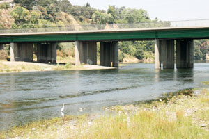 Green bridge spans a wide river, supported by concrete pillars; a white heron stands in shallow water near the rocky bank.
