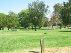 Lush green parkland with trees, picnic tables, and a wooden post in the foreground, under a clear blue sky.