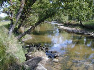 Dry Creek Park creek