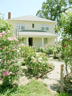 Two-story light yellow house with a porch supported by columns, surrounded by a rose garden with a gravel path leading to the entrance.