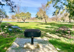 1A Picnic Area in Gibson Ranch Regional Park