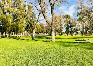 1B Picnic Area in Gibson Ranch Regional Park