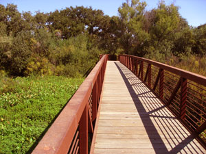 Cosumnes River walking bridge