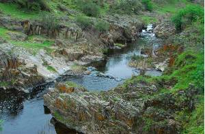 Creek at Deer Creek Hills park