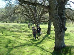 Deer Creek Hills Park