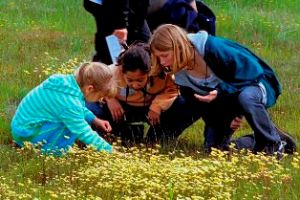 Kids looking at wild flowers