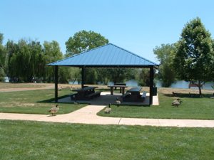 Robin Picnic Site at Mather 
