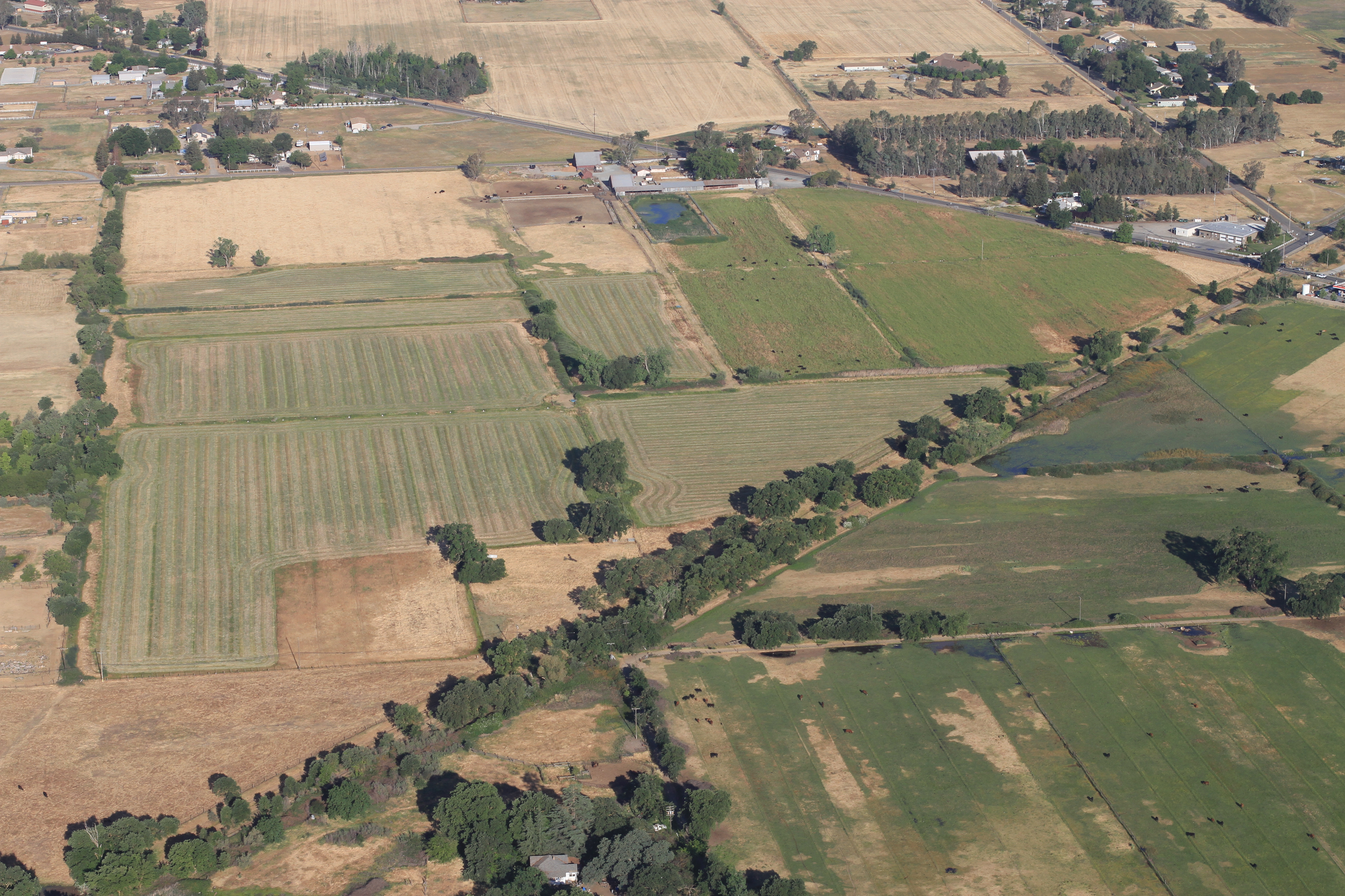 Aerial photo of Dillard Ranch 