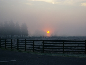 Early morning sunrise over Gibson Ranch