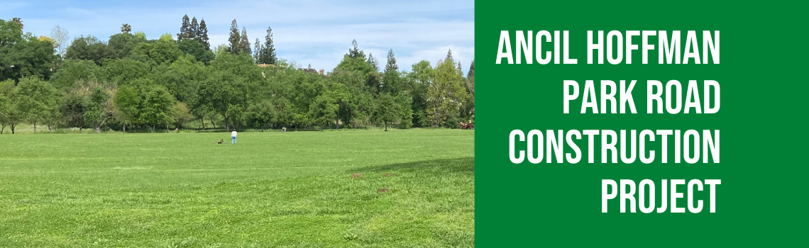 Learn More About the Ancil Hoffman Road Construction Project