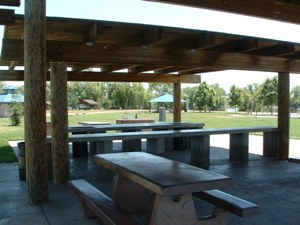 Rotary Grove picnic site at Mather Regional Park